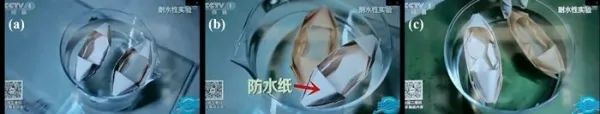可降解型包裝紙研究獲進展 可降解型包裝紙研究獲進展