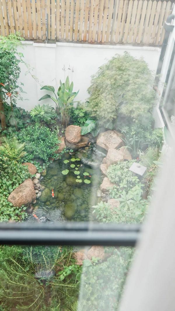 住在上海鬧市400平的房子裡，花開不敗，開窗見池塘，太羨慕了
