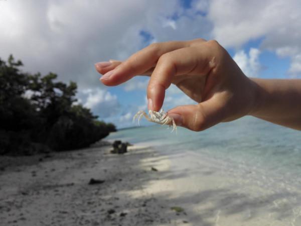 值得讓心靈休息的地方之-塞班島 值得讓心靈休息的地方之-塞班島