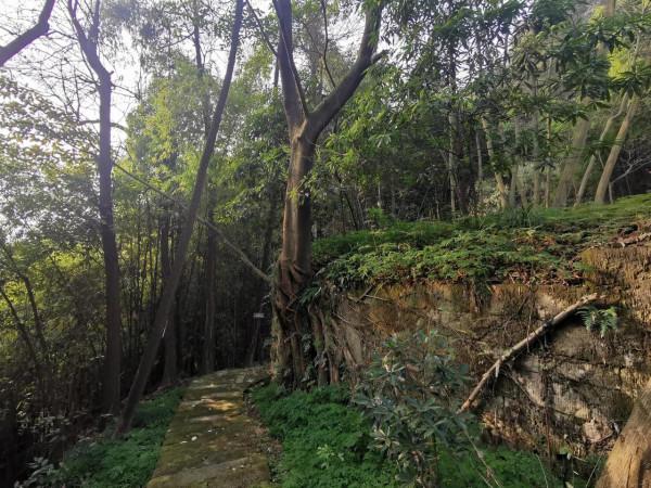 深山深處一座廟