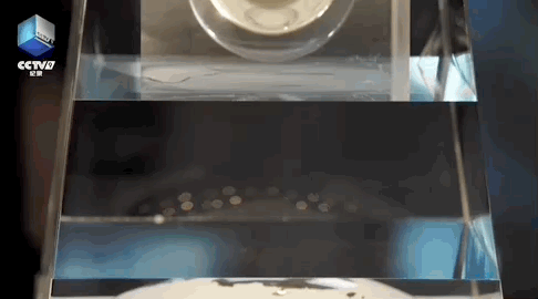 我們成功往返月球的秘密，都在這裡了