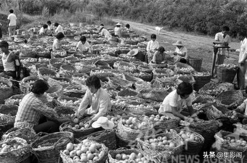山東臨沂市八十年代老照片 山東臨沂市八十年代老照片