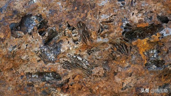 不虛此行:到了泌陽馬谷田撿不到隕石,就去下河灣冶鐵遺址看看吧 不虛此行:到了泌陽馬谷田撿不到隕石,就去下河灣冶鐵遺址看看吧