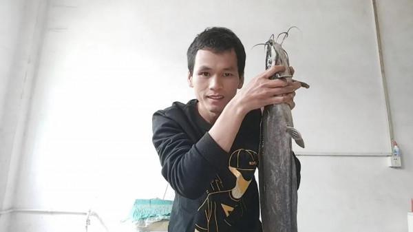 這幾種魚是最成功的入侵魚類，遇水則活，釣到儘量別放生