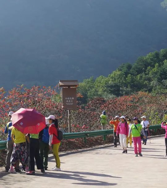 九月初九重陽節——登高覓秋色,賞景正當時 九月初九重陽節——登高覓秋色,賞景正當時