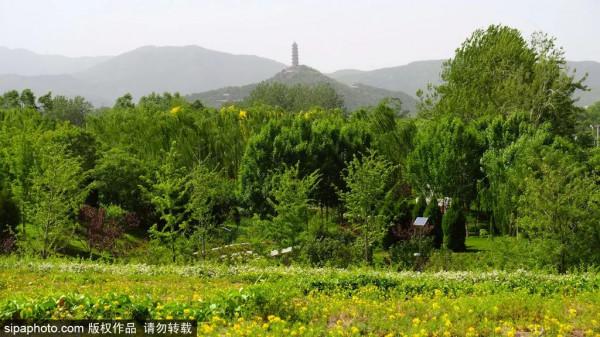 美哭了！不用去雲貴高原，在北京就能欣賞到的超美梯田，還免門票~