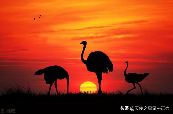 月運_雙胞胎2021年11月星座運勢 白羊金牛雙子