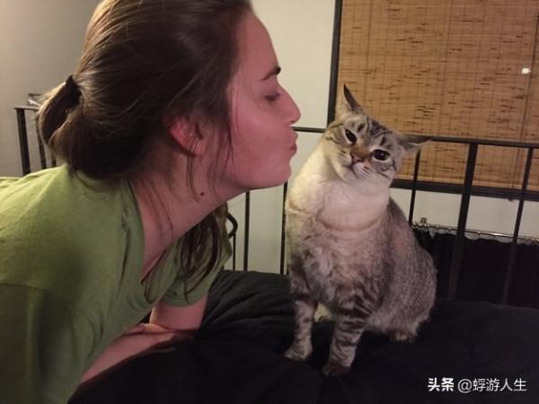 正在努力瞭解您的貓的行為嗎？這是你需要知道的