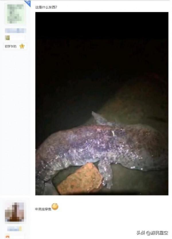 釣魚吧老哥,除了釣魚啥都會 釣魚吧老哥,除了釣魚啥都會