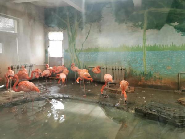 動物園裡那些瞬間