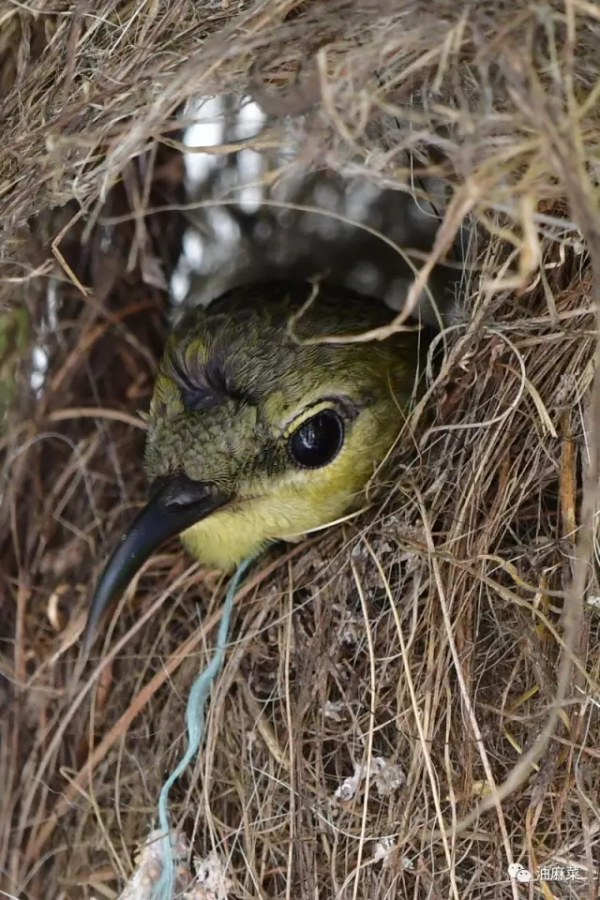 瀟灑離家的時候，你看不到媽媽的表情