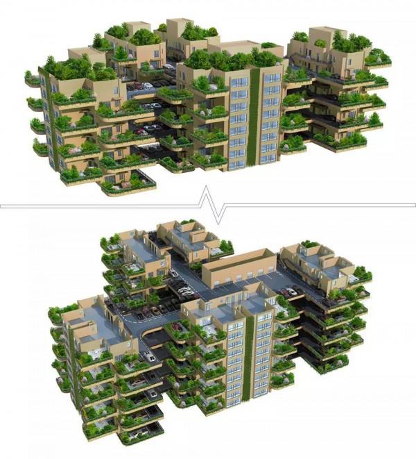 浙江農民“空氣種菜”畝年產5萬斤，立柱6個面種390棵菜，漲見識