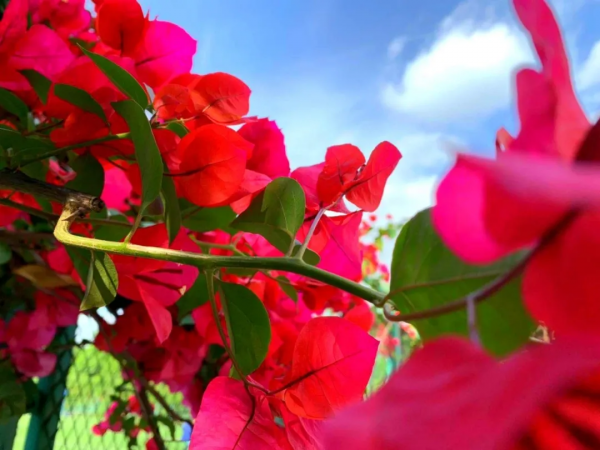 一年四季，這些“絕美”的瞬間你見到了嗎？