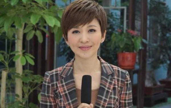 當紅時離開央視的名嘴們,有的名下注冊公司達百萬,有的鋃鐺入獄 當紅時離開央視的名嘴們,有的名下注冊公司達百萬,有的鋃鐺入獄