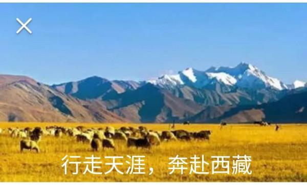 #50歲前一定要去的好地方有哪些# #50歲前一定要去的好地方有哪些#