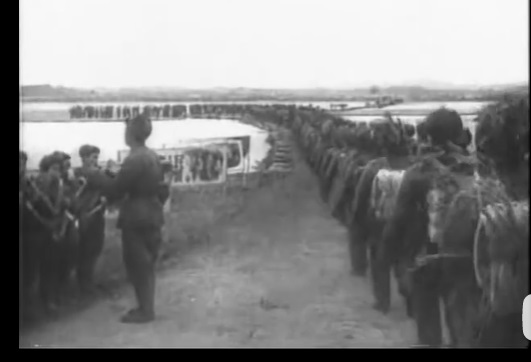 71年前,第一批志願軍過江,唱的不是“雄赳赳,氣昂昂” 71年前,第一批志願軍過江,唱的不是“雄赳赳,氣昂昂”