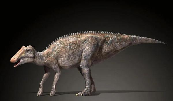 原櫛龍：北美大型植食性恐龍(體長8米/有數百顆牙齒)