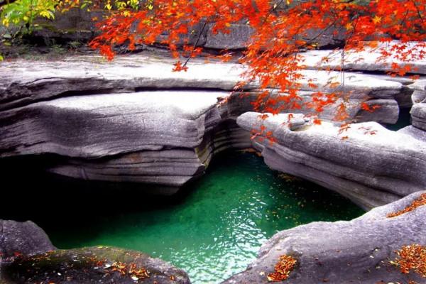 彩林之秋 | 觀山觀水觀紅葉,來旺蒼尋“醉”美秋色~ 彩林之秋 | 觀山觀水觀紅葉,來旺蒼尋“醉”美秋色~
