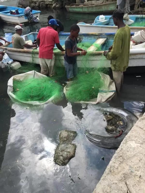 ＃金粉社群＃這是什麼大頭龍蝦！傳說中神秘的“加勒比海”