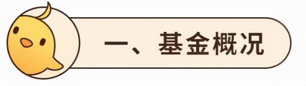 基金測評 | 國富新機遇，穩如老狗的基金，但藏著2大風險？