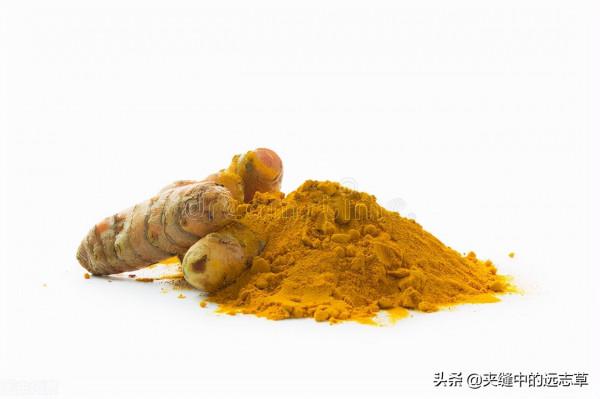 肩周炎，活動受限？送你四味中藥，祛頑痰，通經絡，快來了解下吧