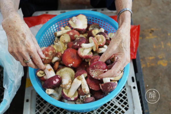 1小時飛攏的城市,有全國最好逛的市場 1小時飛攏的城市,有全國最好逛的市場