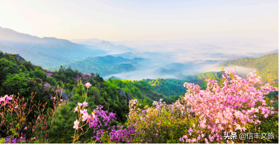 絕美冬景上線！這處色彩繽紛的地質公園，紅楓怪石看不完，每一眼都是驚豔！