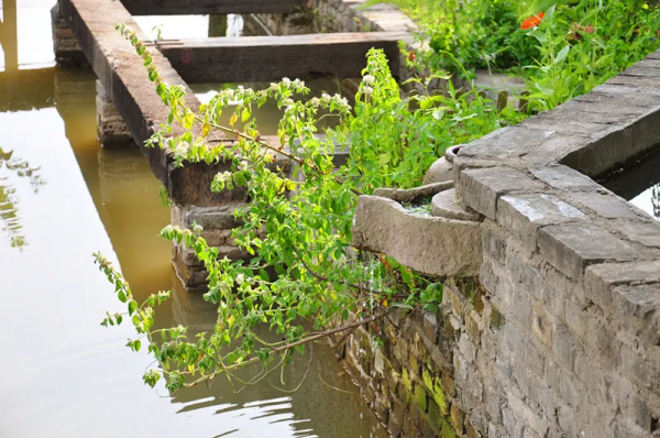 這才是鄉村小院該有的氣質