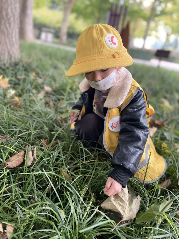 五龍新城匯愛幼稚園“匯”眼看世界大戶外再啟程，深秋下的植物園