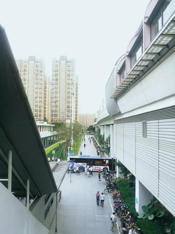 中國口岸之城,原本與香港直通高鐵,如今卻全部停止執行 中國口岸之城,原本與香港直通高鐵,如今卻全部停止執行