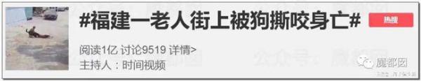 福建老人被狗攻擊身亡是誰造成了這等慘劇