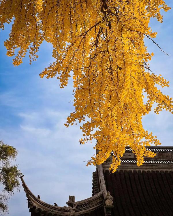 功過可以相抵嗎? 功過可以相抵嗎?