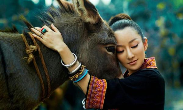 從罵遍半個娛樂圈，到所有節目全部被停播，是誰讓金星停下了嘴？