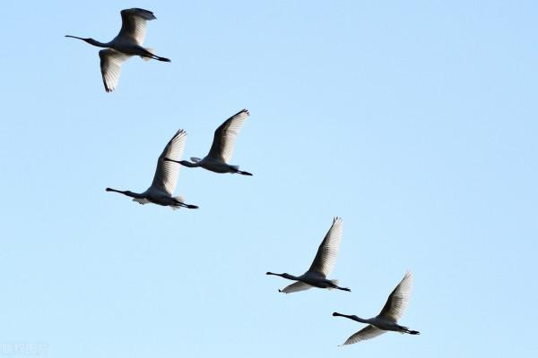 全世界60個國家的珍稀國寶