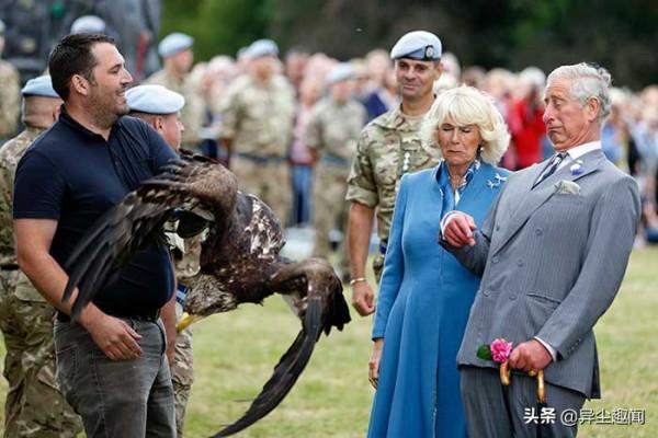 11張英國皇室成員在家的搞笑照片,女王的表情太幽默了 11張英國皇室成員在家的搞笑照片,女王的表情太幽默了