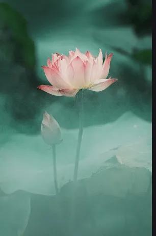 一個人作的孽,報應在後代身上 一個人作的孽,報應在後代身上