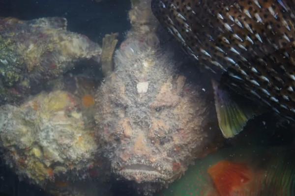 跟中國國家地理看福建 | 活動招募 跟中國國家地理看福建 | 活動招募