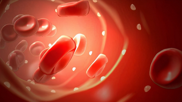 擔心肝有問題,去醫院該做什麼檢查?檢查前要注意什麼?一文說清 擔心肝有問題,去醫院該做什麼檢查?檢查前要注意什麼?一文說清