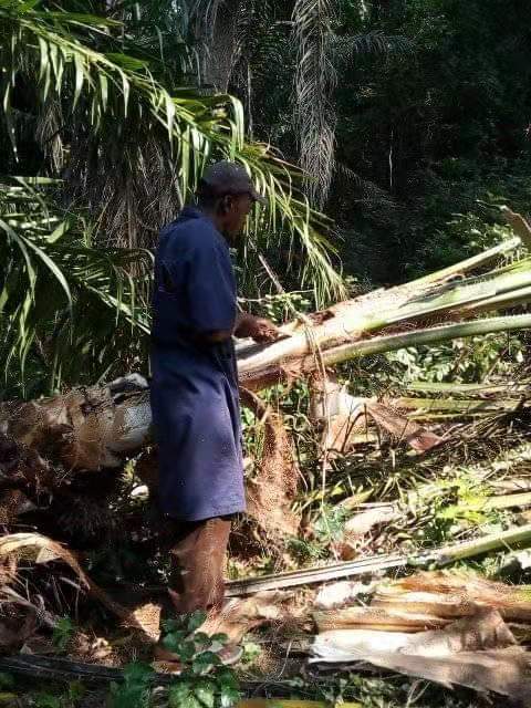 安哥拉往事(85) 安哥拉往事(85)