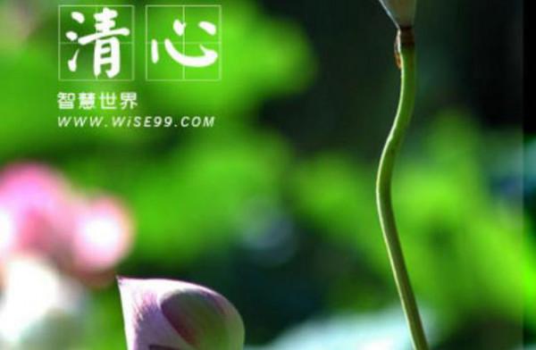 靜心，讓真正的自我熠熠生輝