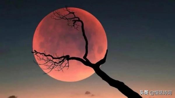 望明月思故園，杜甫落淚，蘇軾飄然若仙，辛棄疾想親手砍伐桂樹