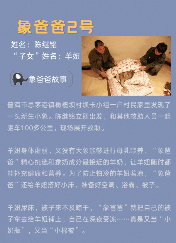 給“象”樣的爸爸,來個“象”樣的行動 給“象”樣的爸爸,來個“象”樣的行動