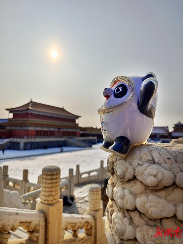 圖集｜&OpenCurlyDoubleQuote;頂流&rdquo;遇&OpenCurlyDoubleQuote;頂流&rdquo;，元宵節冰墩墩遊故宮