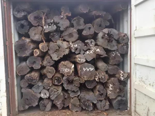 沃格利國標紅木大宅地暖地板紅木百科全書（七）