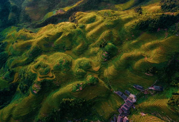 大美秋天！每一張都是桌布