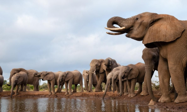 人口密度最低的10個國家排名,人口密度最高的20個國家排名 人口密度最低的10個國家排名,人口密度最高的20個國家排名