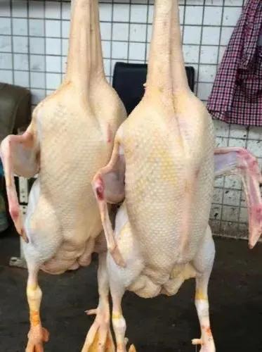 香煎農家土鴨 香煎農家土鴨