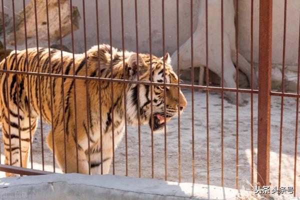 電商平臺收回國有更利國利民