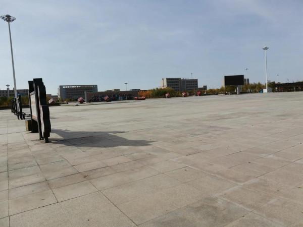 額濟納隔離日記之第七日 額濟納隔離日記之第七日