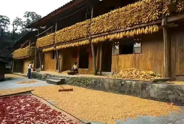 50張照片記錄著最真實的農村生活,這才是我們最深刻的回憶 50張照片記錄著最真實的農村生活,這才是我們最深刻的回憶